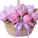 Basket of Pink Peonies - 7 sizes