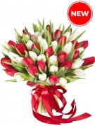 Tulips Red & White mix