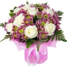 White roses on a pink background