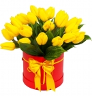 Golden. Options from 11 to 101