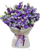 Eustoma - The Violet Luxury from 7 to 33