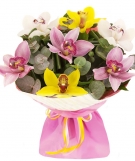 Mix Orchids Bouquet - 6 sizes