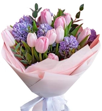 Hyacinths and pink tulips