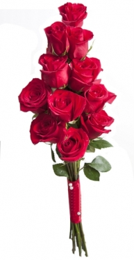 Roses for Men - 10 options