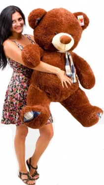Chocolate Bear, 130-150 cm