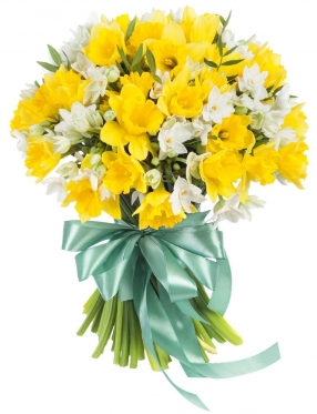 Narcissus Bouquet - 5 sizes