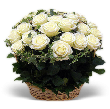 White Roses Memorial Basket