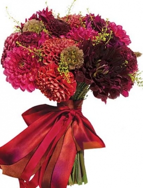 Жоржини - темні відтінки, 6 опцiй