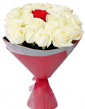 White with Red Classic. From 7 to 101