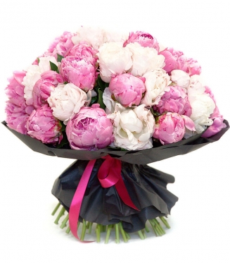 Півонії різних відтінків. Від 5 до 51