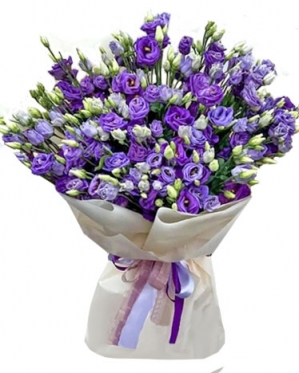 Eustoma - The Violet Luxury from 7 to 33