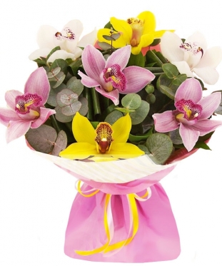 Mix Orchids Bouquet - 6 sizes