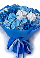 Zephyr Hydrangea Delight, 5 sizes bouquet image 0