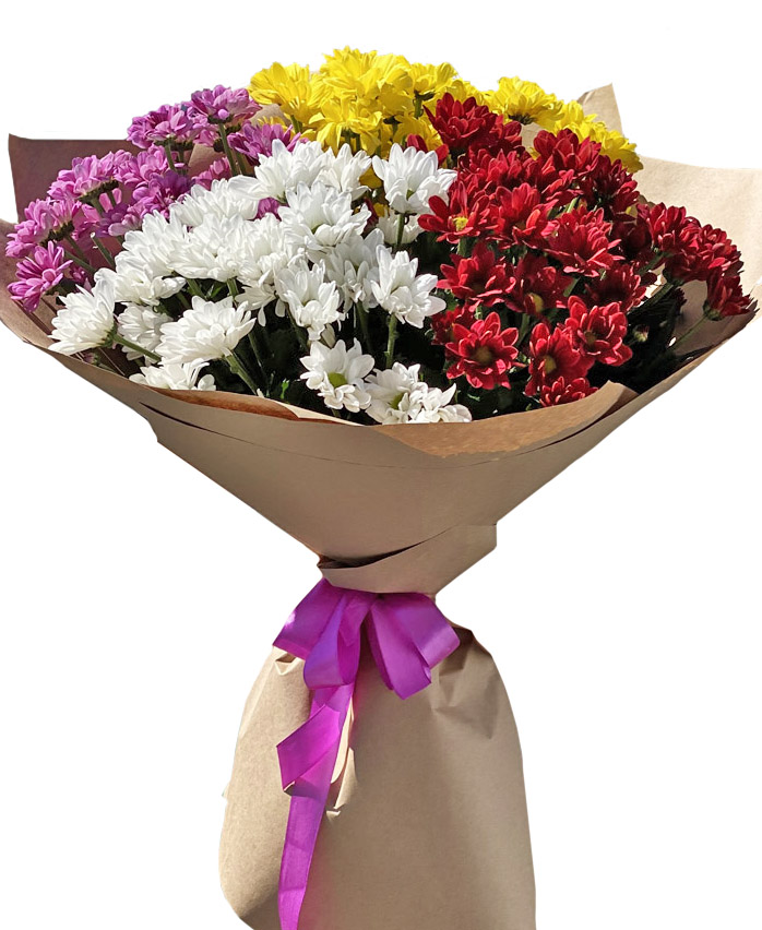 4 Seasons image 0 4 Seasons image 0